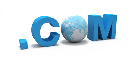 什么是域名？